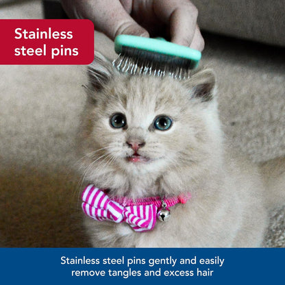 Pet Li'L Pals - Kitten Slicker Brush with Coated Tips