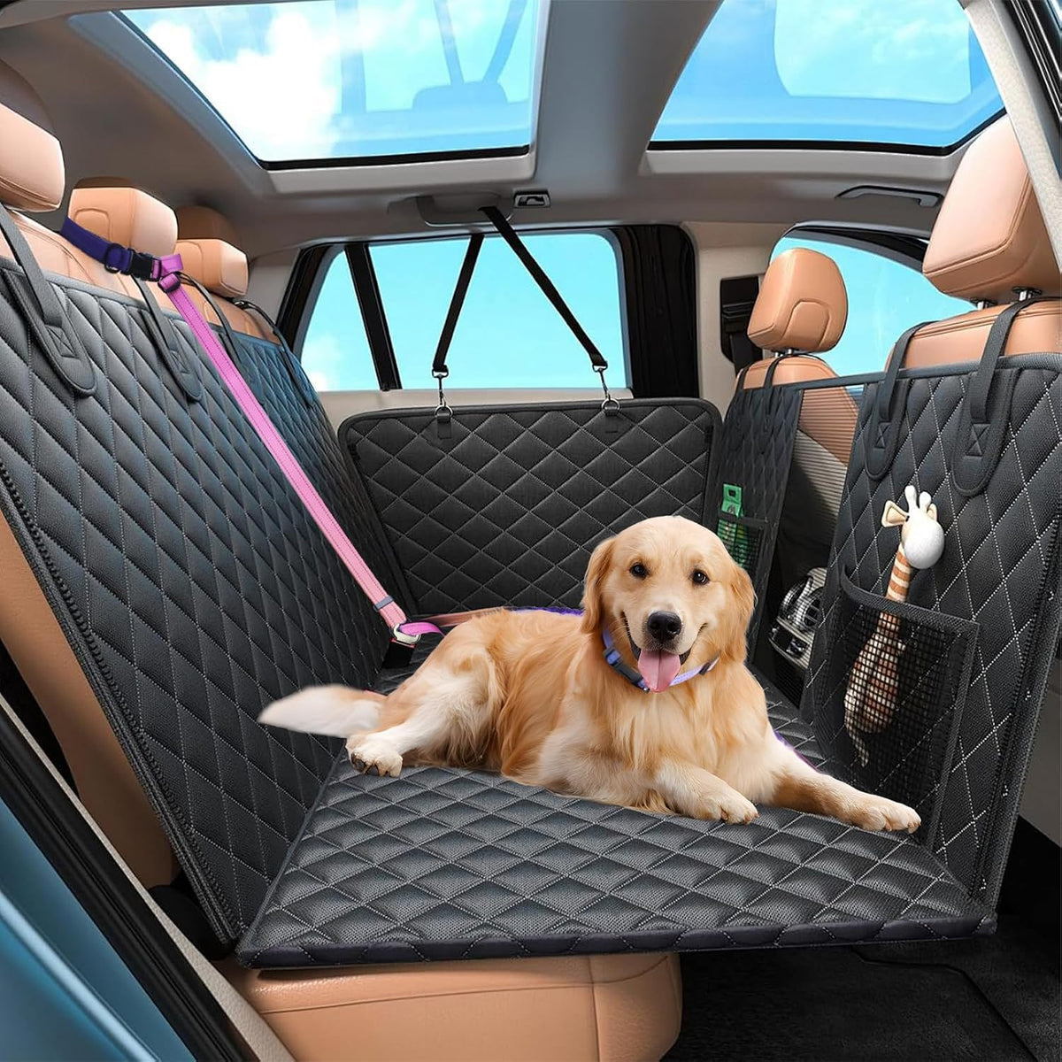Hands Free Dog Leash with Zipper Pouch, 6-9Ft Bungee Waist Leash for Medium Large Dogs Walking, Running Lead with Dual Padded Handles Car Safety Buckle for Training Jogging
