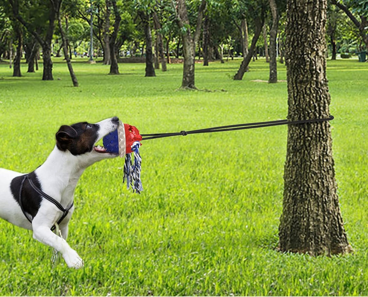 Interactive & Durable Dog Toys Rope & Squeaky Toys for Large & Medium Breeds, with Tough Chew Toys & Teeth Cleaning Benefits for Aggressive Chewers