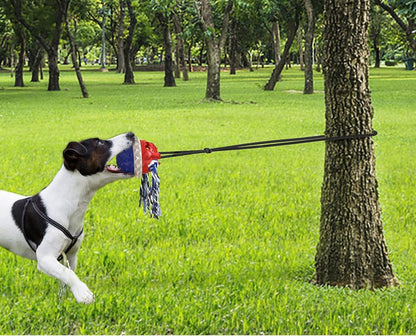 Interactive & Durable Dog Toys Rope & Squeaky Toys for Large & Medium Breeds, with Tough Chew Toys & Teeth Cleaning Benefits for Aggressive Chewers
