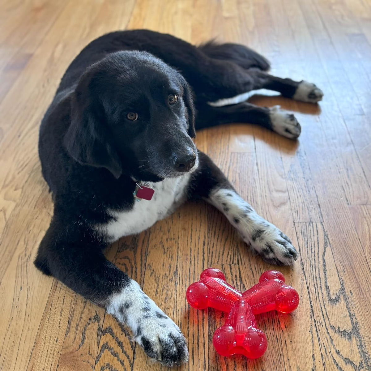 Play Strong Trident Bone Rubber Dog Toy, Y Shape, Long Lasting Dog Chew for Aggressive Chewers, Hollow Center to Hide Treats, 6"