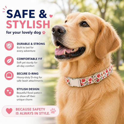 Pet Supplies, (Summer Blooms) Cat Collar, Dog Collar, Cat Leash, Dog Leash, Small Dog Collar, Medium Dog Collar, Large Dog Collar (Pet Collar, L)
