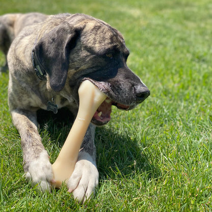 Power Chew Butcher Bone Dog Toy, Dog Chew Toy, Chicken Flavor, Xx-Large, 1 Count