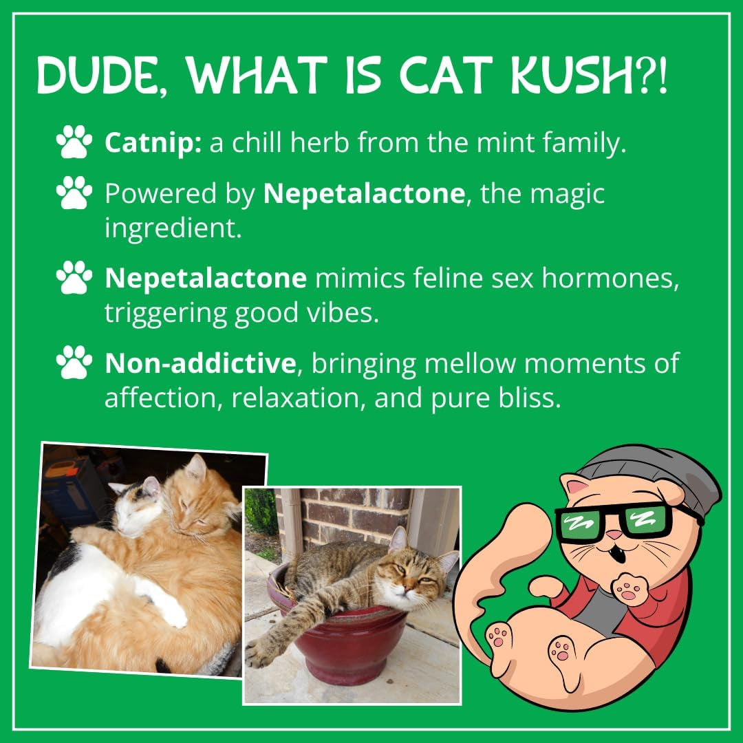 Organic Catnip by , Safe Premium Blend Perfect for Cats