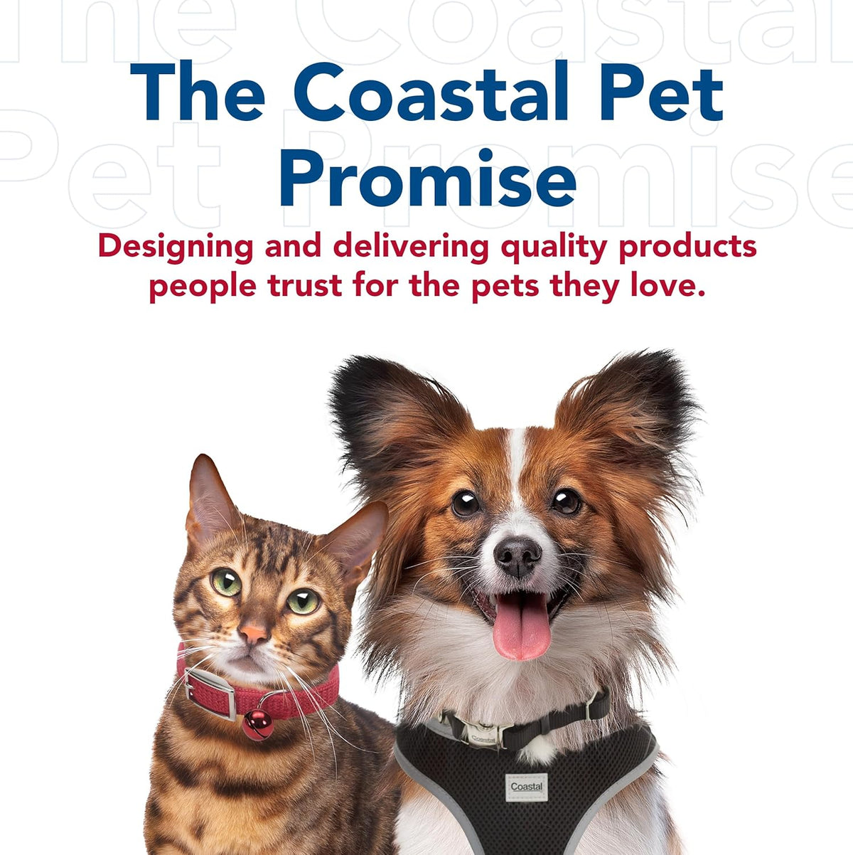 Pet Li'L Pals - Kitten Slicker Brush with Coated Tips