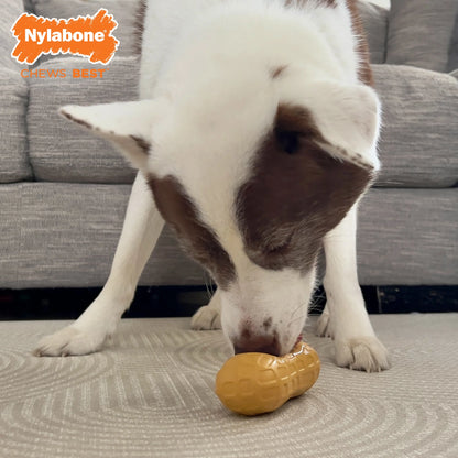 Strong Chew Fillable Peanut Dog Treat Toy, Dog Toy, Peanut Butter Flavor, Medium