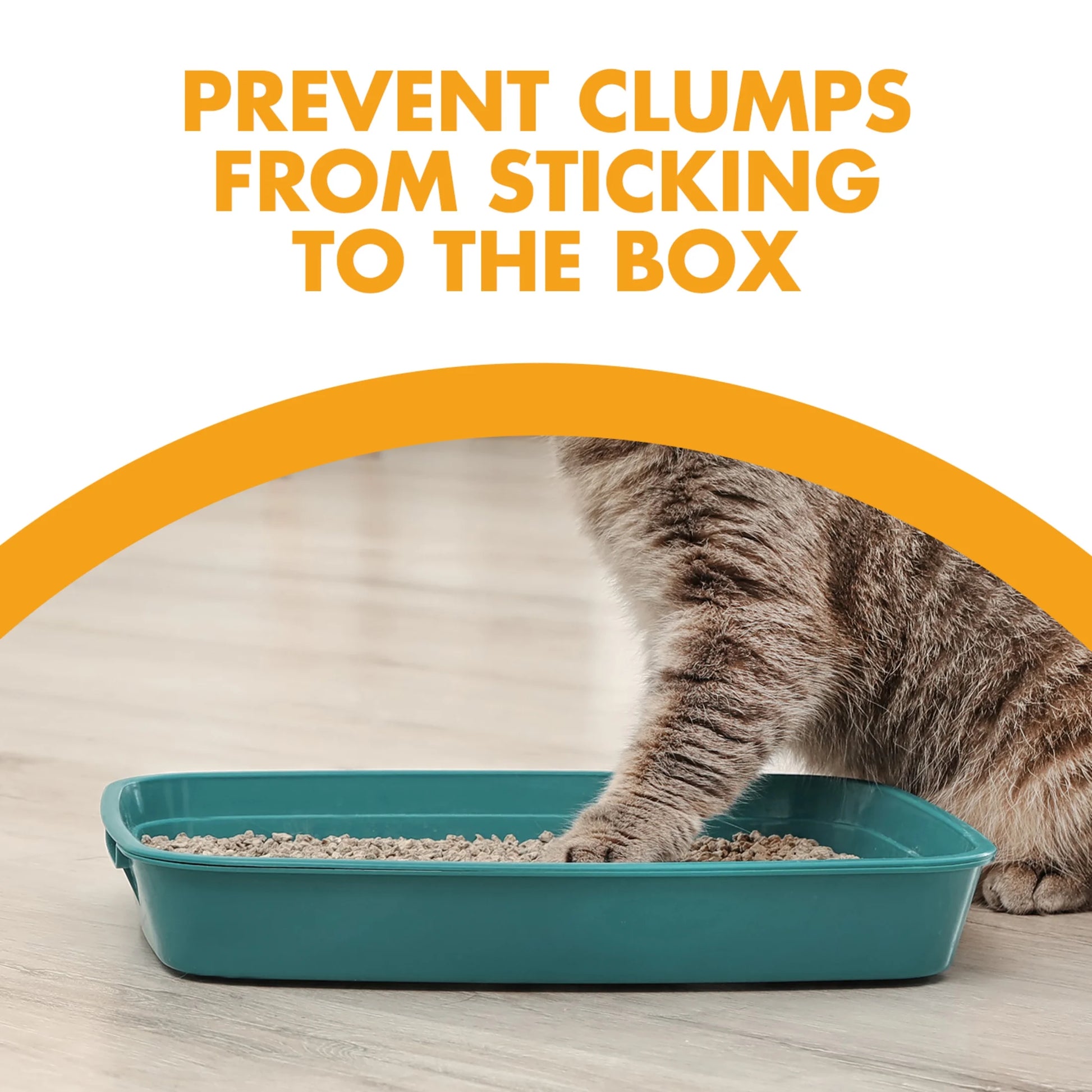(3 Pack)  Double Duty Cat Litter Deodorizer and Pet Odor Eliminator, 33 Oz Box