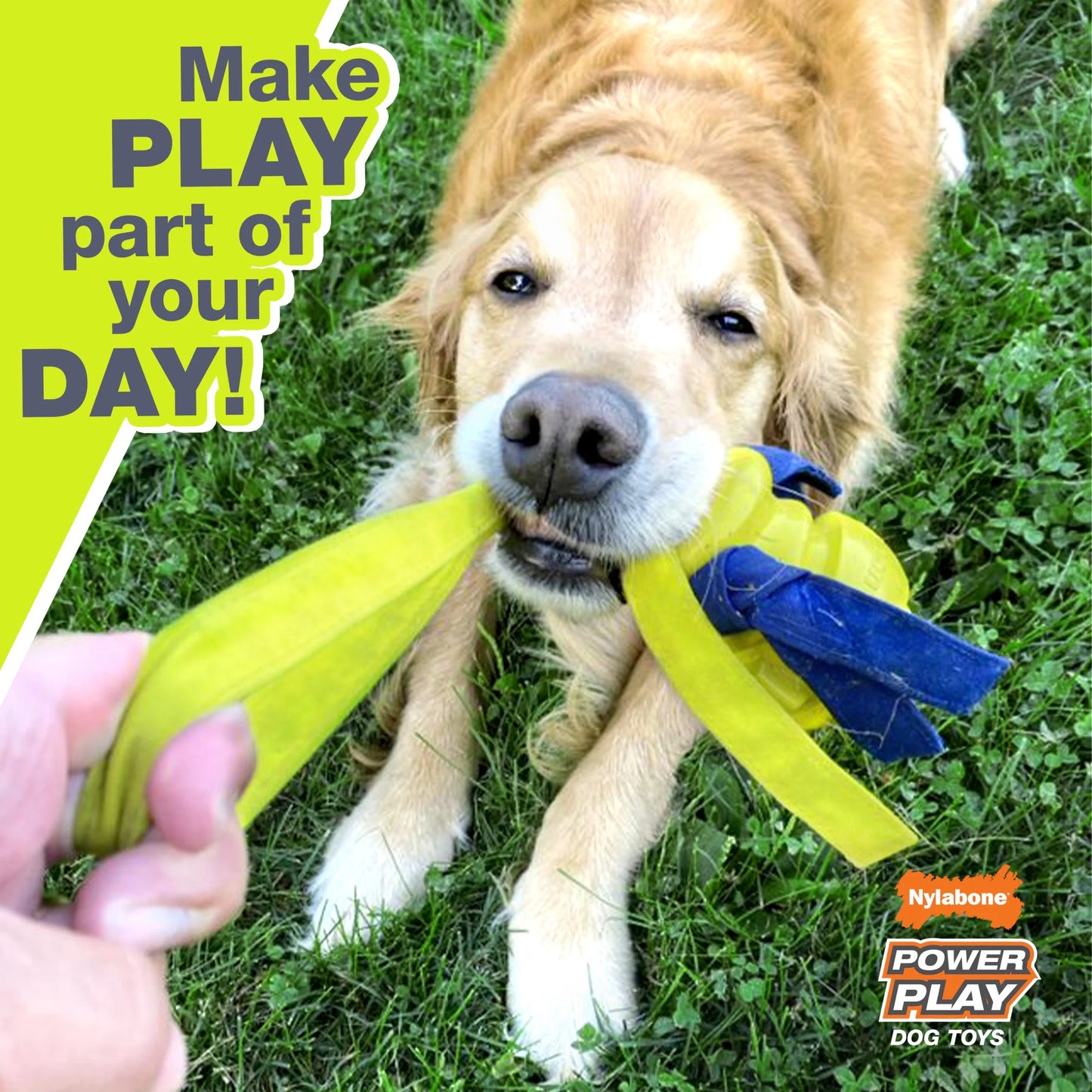 Power Play Football Dog Toy, Dog Balls, Squeaky Toy for Dogs, Large