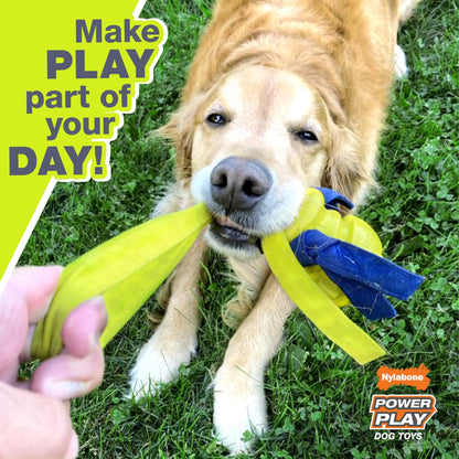 Power Play Football Dog Toy, Dog Balls, Squeaky Toy for Dogs, Large