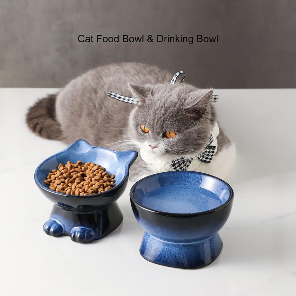 Elevated Cat Bowls,5 Inch Ceramic Raised Cat Food and Water Bowl Set