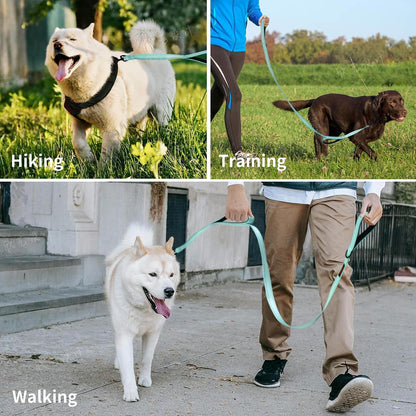 Heavy Duty Double Handle Leash - Reflective Training Lead for Large Breed Dogs (6Ft-Black)