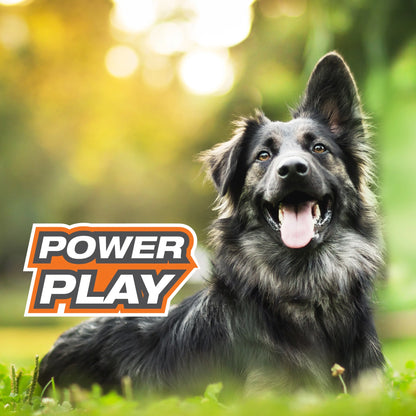 Power Play Football Dog Toy, Dog Balls, Squeaky Toy for Dogs, Large