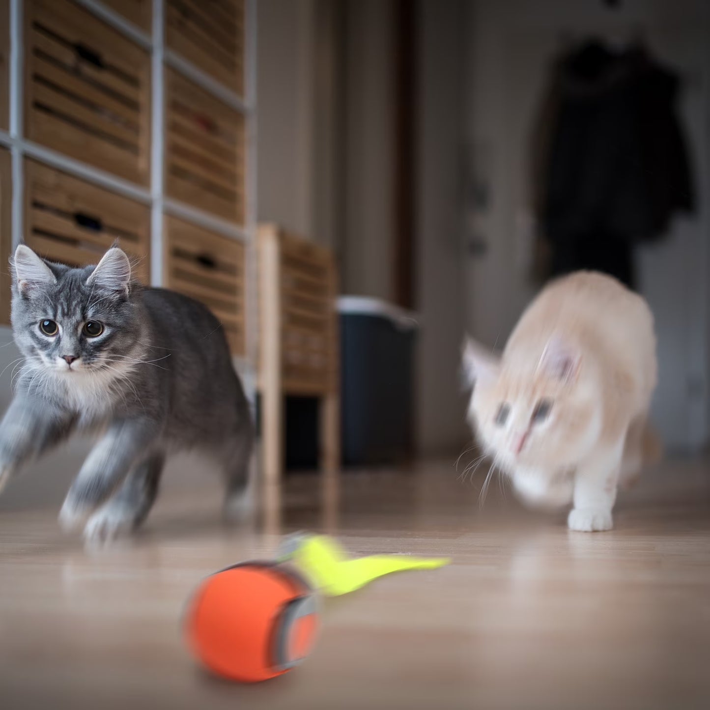 2PCS Speedy Tail 2.0, Interactive Cat Toy for Indoor Cats, Automatic Moving Cat Toy Ball, USB Rechargeable Smart Cat Toys Ball with Replacement Tail, 2 Speed Adjustment