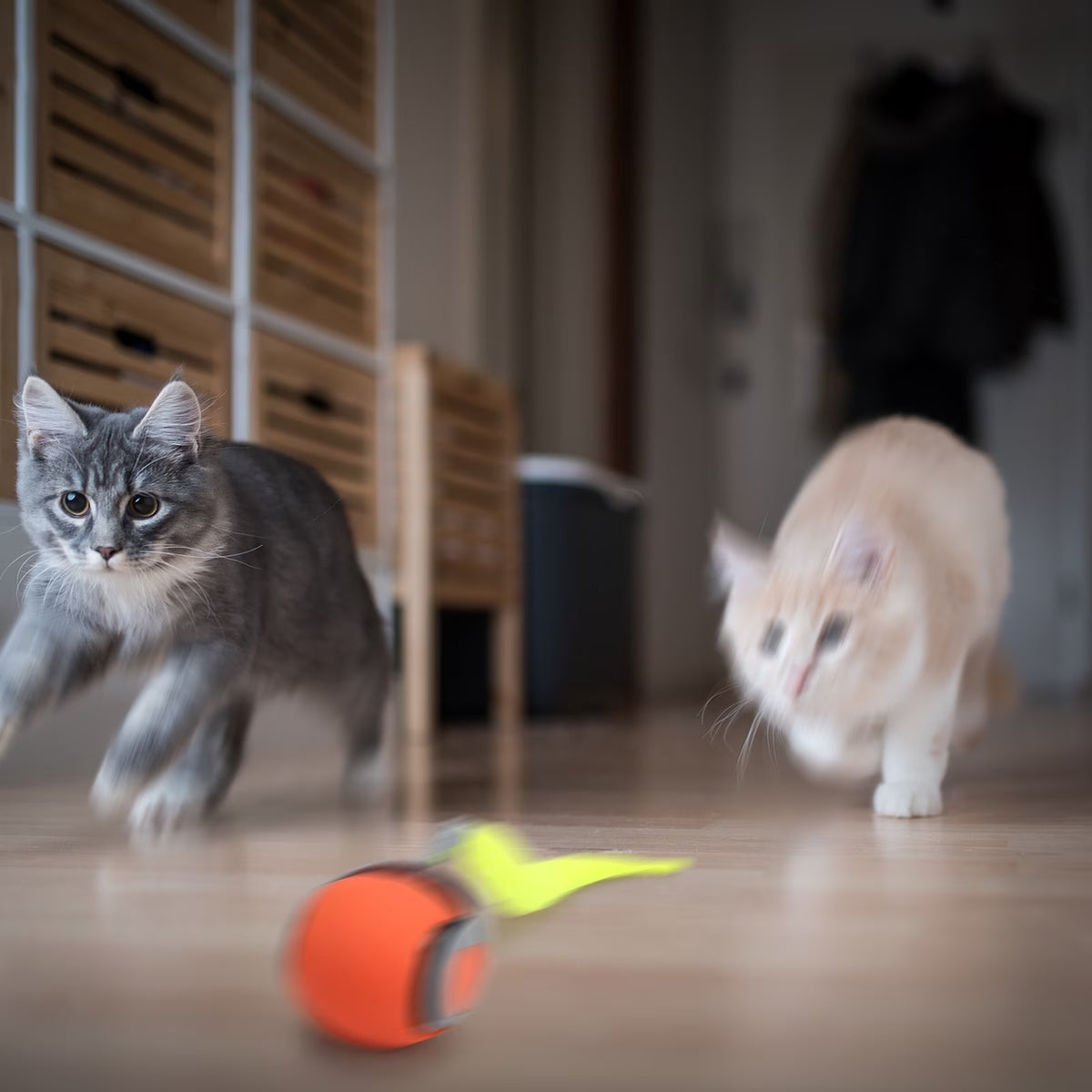 2PCS Speedy Tail 2.0, Interactive Cat Toy for Indoor Cats, Automatic Moving Cat Toy Ball, USB Rechargeable Smart Cat Toys Ball with Replacement Tail, 2 Speed Adjustment