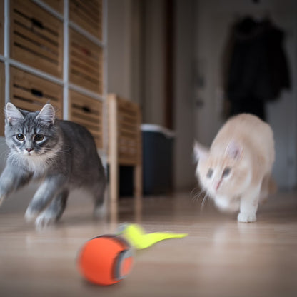 2PCS Speedy Tail 2.0, Interactive Cat Toy for Indoor Cats, Automatic Moving Cat Toy Ball, USB Rechargeable Smart Cat Toys Ball with Replacement Tail, 2 Speed Adjustment