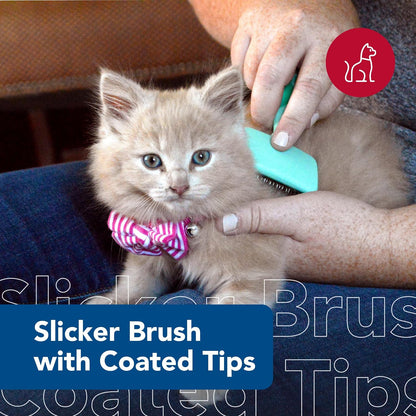 Pet Li'L Pals - Kitten Slicker Brush with Coated Tips