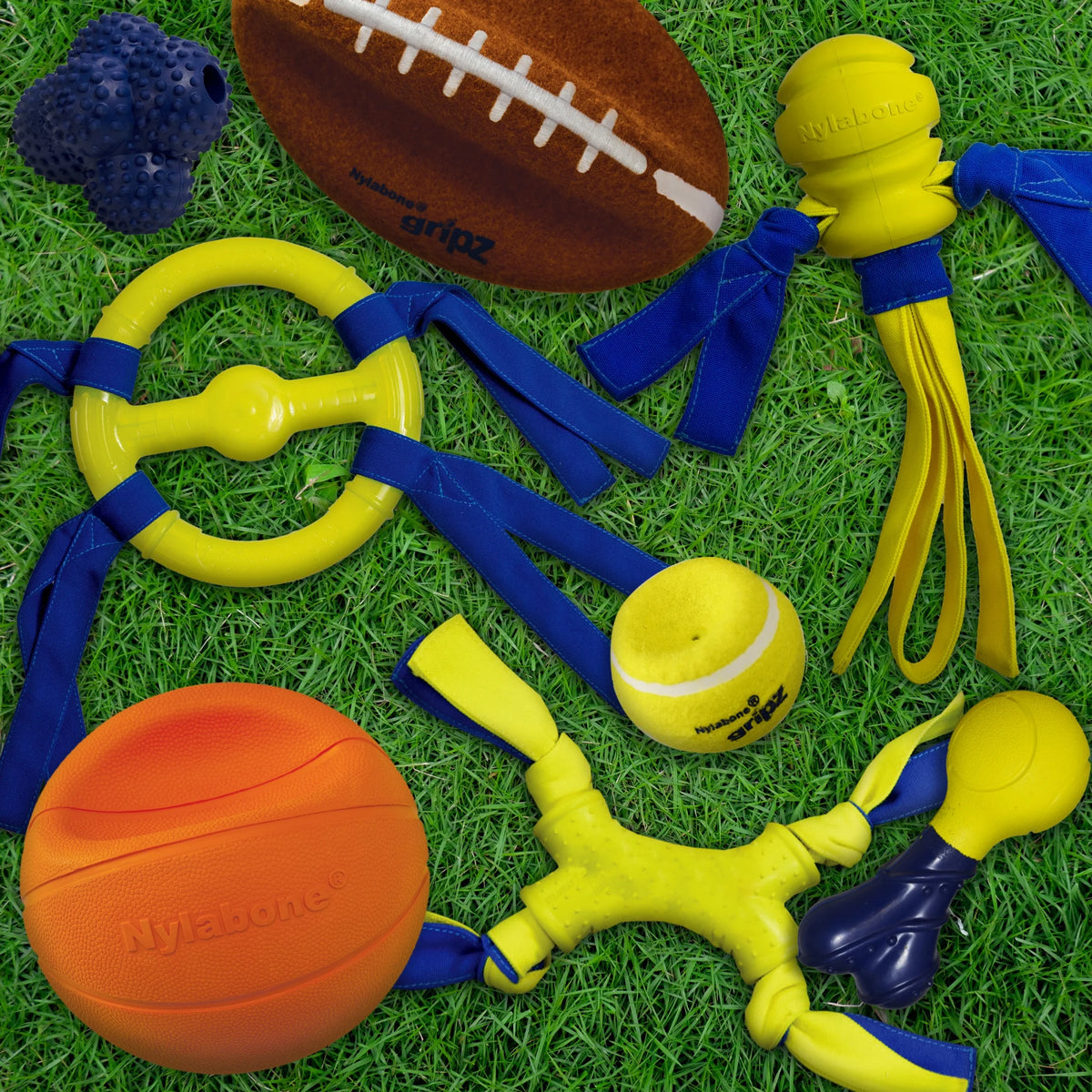 Power Play Football Dog Toy, Dog Balls, Squeaky Toy for Dogs, Large