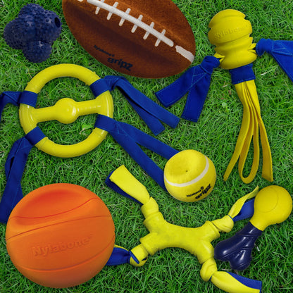 Power Play Football Dog Toy, Dog Balls, Squeaky Toy for Dogs, Large