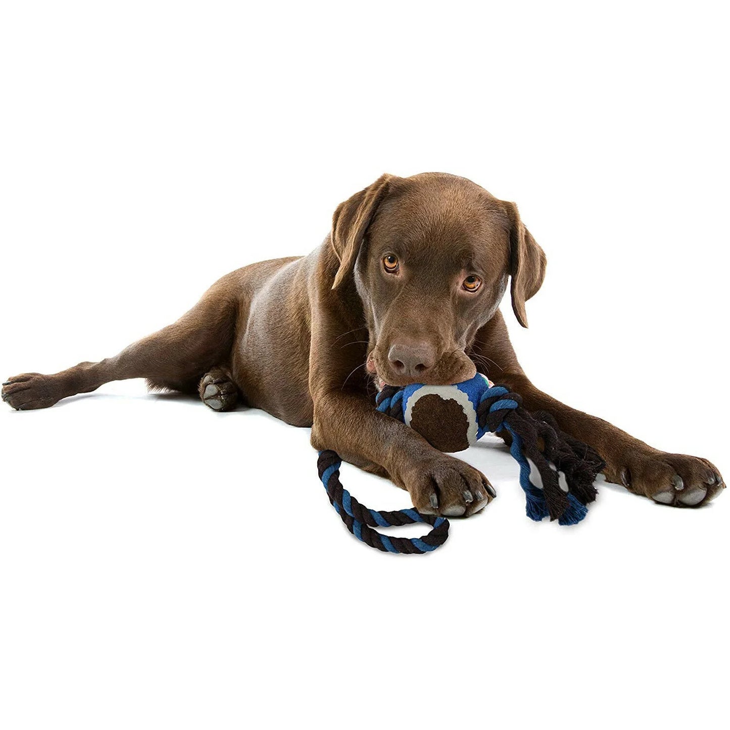 Knotted Rope Toy with Tennis Ball for Dogs | Hours of Play | Approved by Dogs | Blue