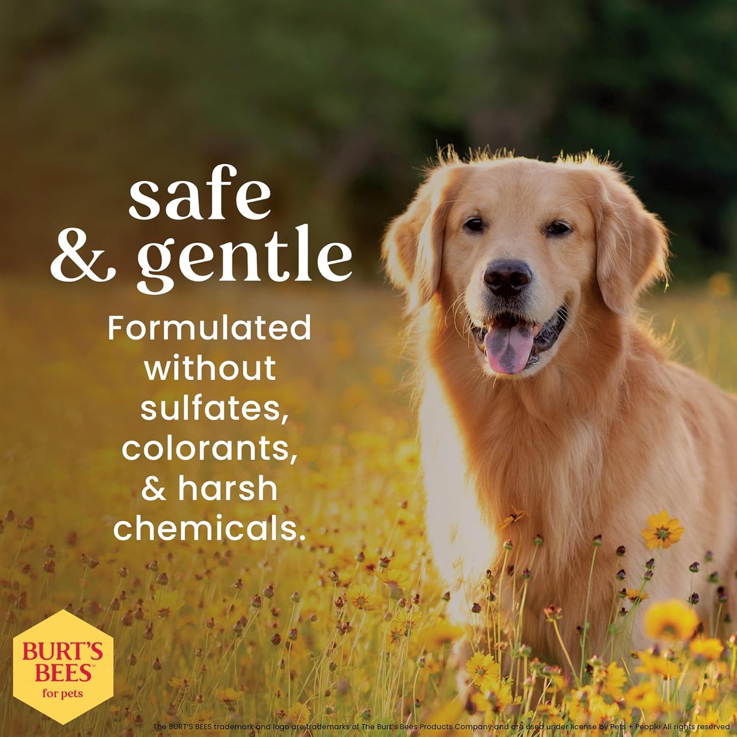 Calming Dog Shampoo, Lavender and Green Tea, 32 Fl Oz