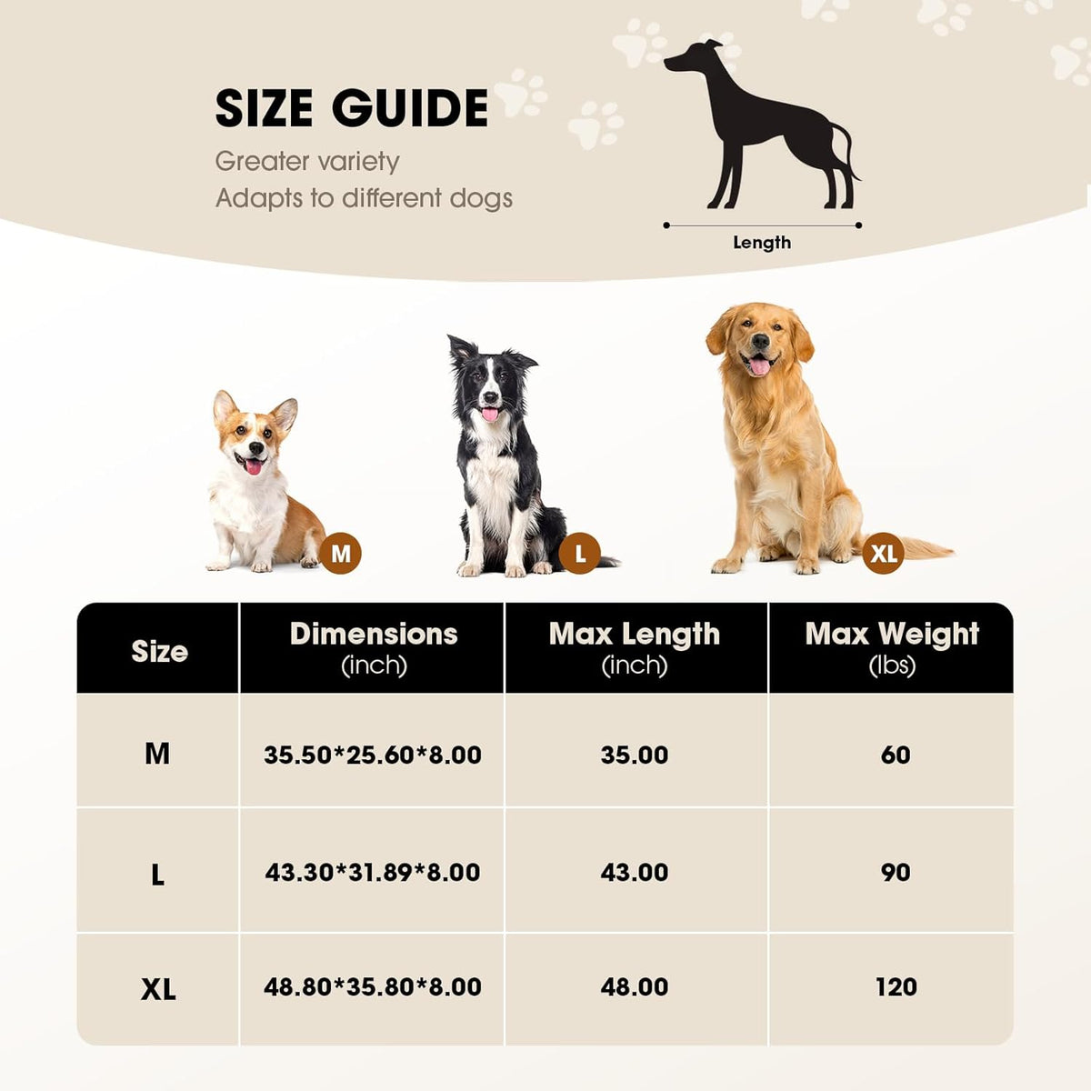 Outdoor Elevated Dog Bed for Medium Sized Dogs, No-Tool Assembly.