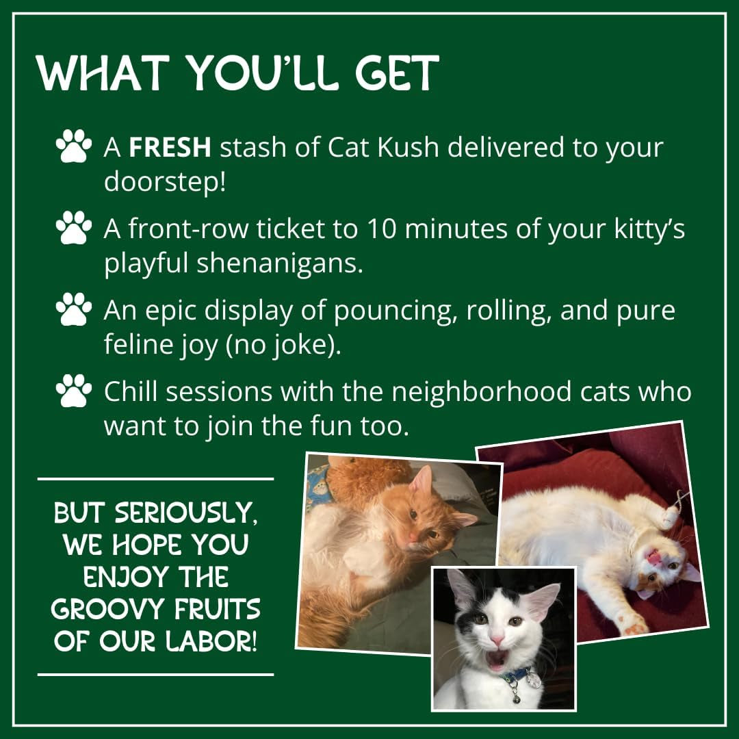 Organic Catnip by , Safe Premium Blend Perfect for Cats