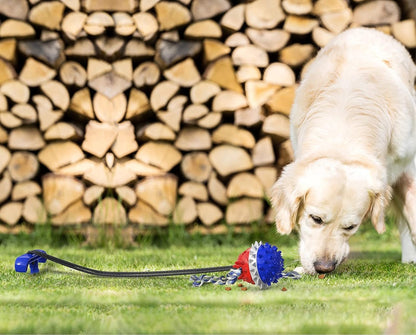 Interactive & Durable Dog Toys Rope & Squeaky Toys for Large & Medium Breeds, with Tough Chew Toys & Teeth Cleaning Benefits for Aggressive Chewers