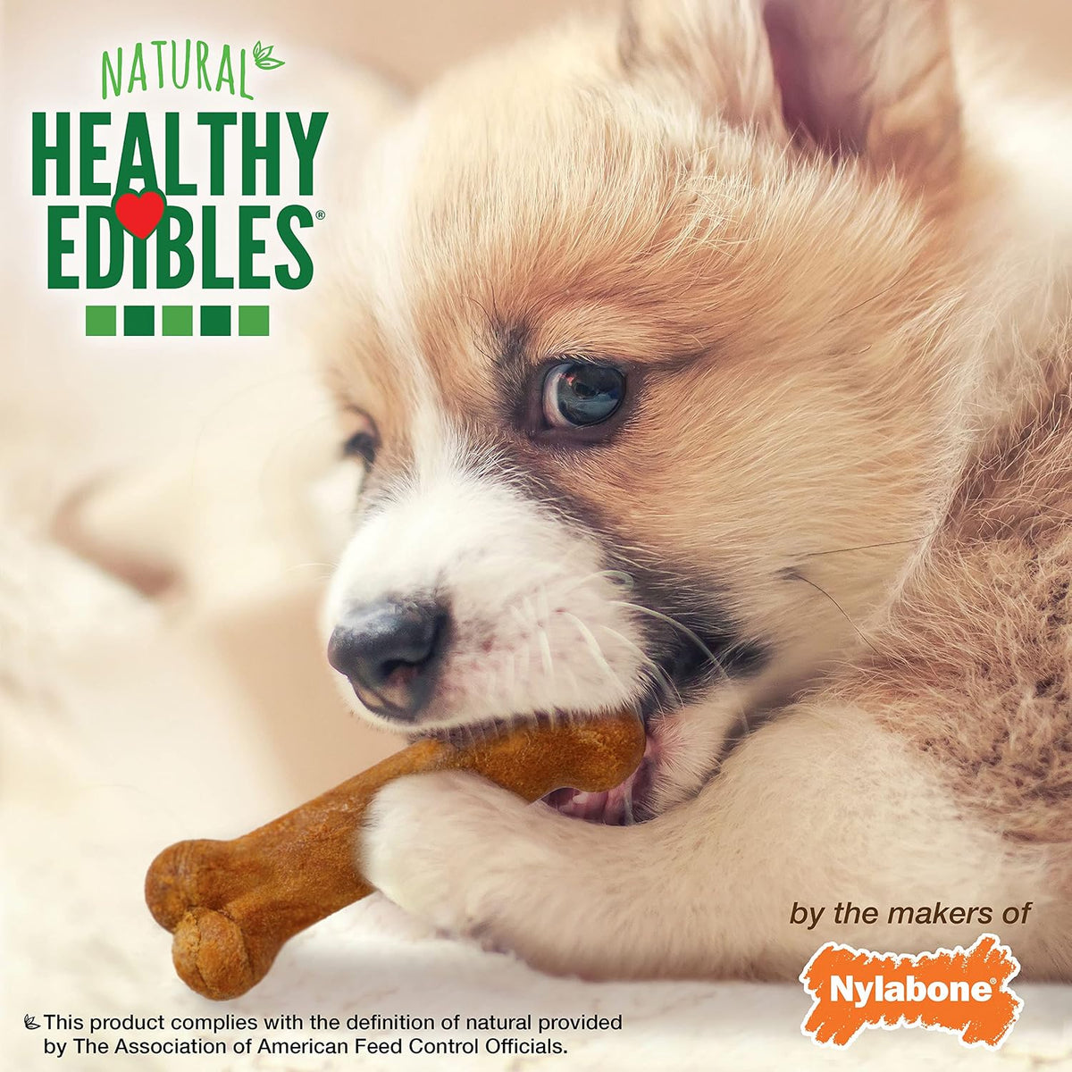 Healthy Edibles Natural Puppy Chews Long Lasting Treats for Puppies,Turkey & Sweet Potato Flavor,X-Small/Petite,16 Count (Pack of 2)