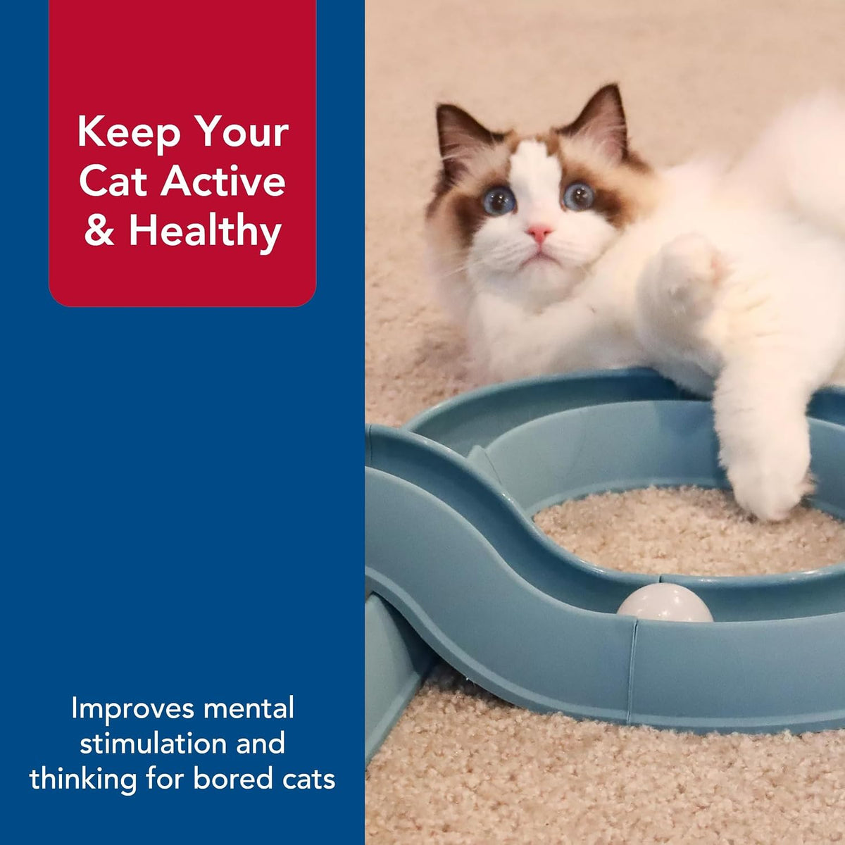Pet Turbo Track Cat Toy - Cat Ball Toy & Racetrack - Easy Assembly - Slate Blue (1 Pack)