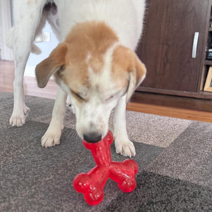 Play Strong Trident Bone Rubber Dog Toy, Y Shape, Long Lasting Dog Chew for Aggressive Chewers, Hollow Center to Hide Treats, 6"