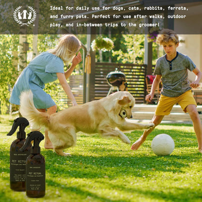 Pet Ritual Pet Cologne Spray for Dogs - Dog Perfume Spray Long Lasting after Bath - Pet Perfume for Dogs - Essential Oils Infused - 4Oz, Lavender Fields