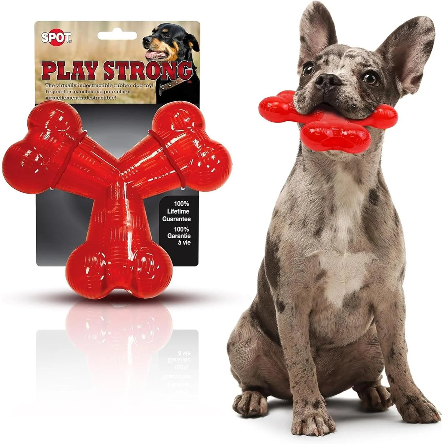 Play Strong Trident Bone Rubber Dog Toy, Y Shape, Long Lasting Dog Chew for Aggressive Chewers, Hollow Center to Hide Treats, 6"